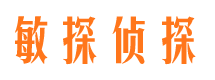 南长侦探公司